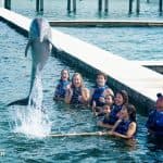 Swim with Dolphins in Punta Cana