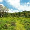 Punta Cana: Anamaya Mountains Walking Tour with Tasting