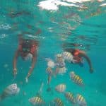 Punta Cana: Catalina Island Catamaran Cruise with Snorkeling