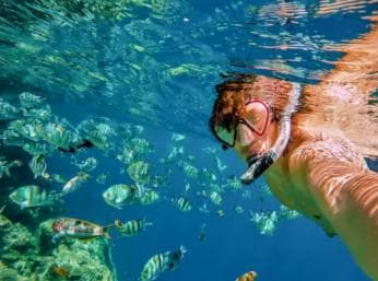 Private: Catalina Island Snorkel Dive Day Trip from Bayahibe