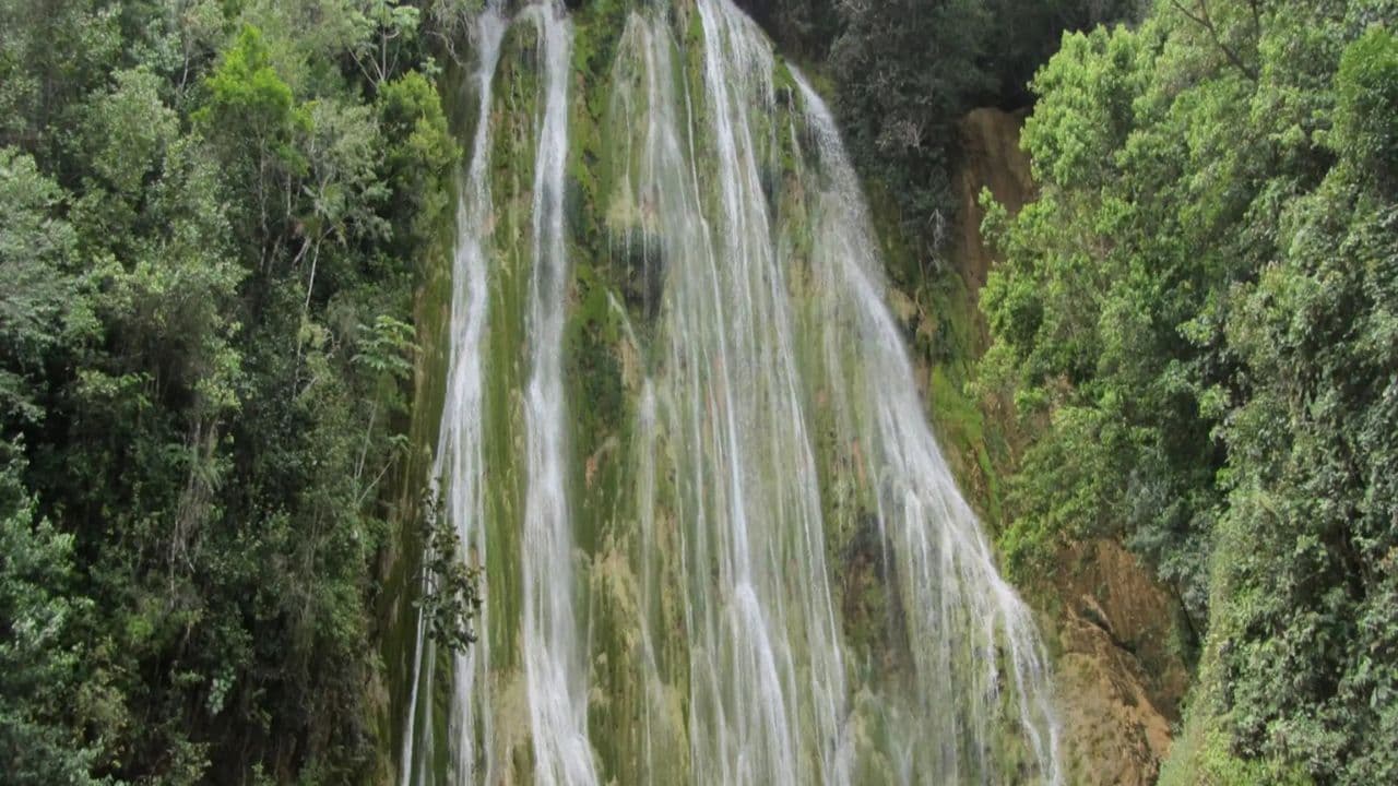 Punta Cana: Samana with Waterfall & Bacardi Island Day Trip