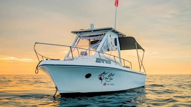 Costa Rica: Dolphin Watching & Snorkelling Private Charter