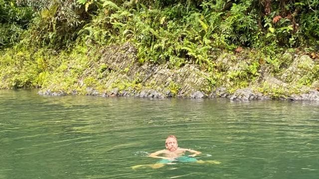 San Juan: El Yunque National Rainforest Sightseeing Tour