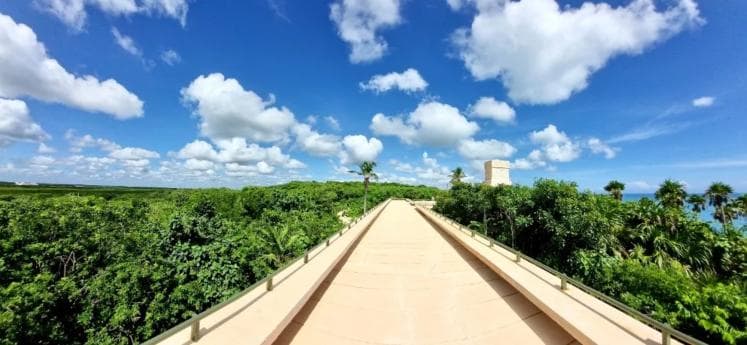Mexico: Tour Frida Kahlo Live Art in Tulum