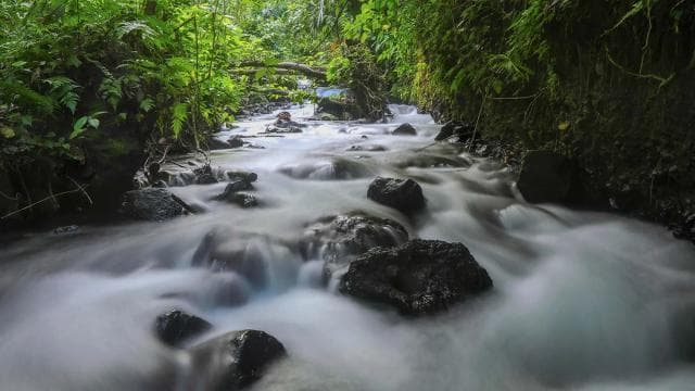 Hot Springs Pura Vida River and Thermal Pool Access