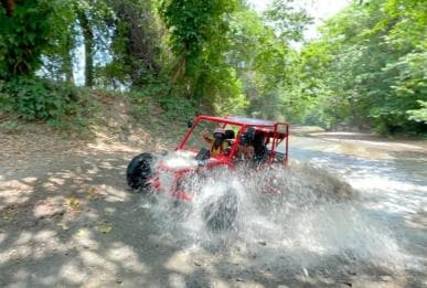 Land of Monkeys Plus ATV Buggies Adventure in Puerto Plata