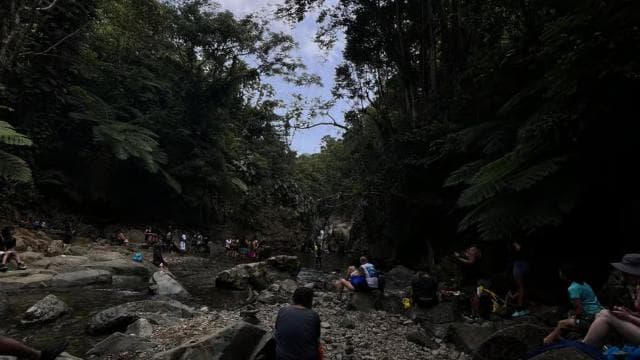 El Yunque hike ,river and water slides excursion