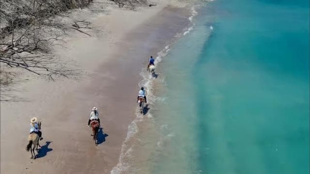 2 Hours Beach Horseback Riding
