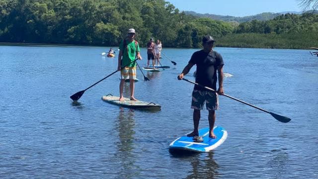 Nosara: Rio Montana Mangrove SUP or Kayak Tour