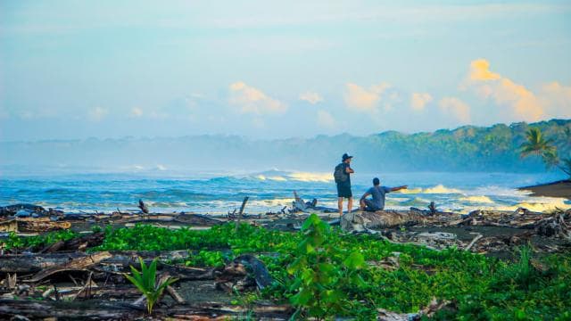 Corcovado National Park - Sirena Station - 1 night stay