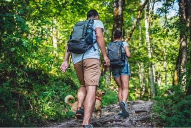 Samana: Private Los Haitises Expedition Caves & Mangroves