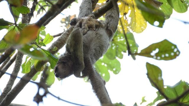 Manuel Antonio: Nauyaca Waterfalls All Inclusive Full Day