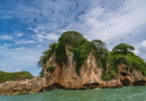Los Haitises Boat Ride + Caño Hondo Natural Pools