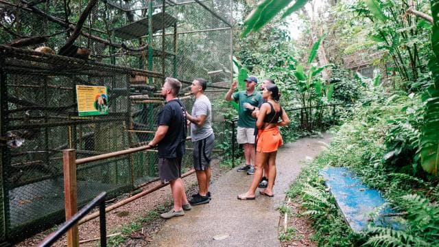 Manuel Antonio: KSTR Wildlife Sanctuary Guided Tour
