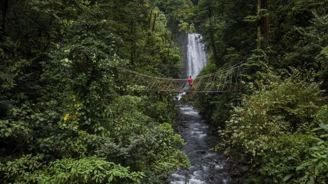 Monteverde: Waterfalls, Wild Trekking and Horseback Riding