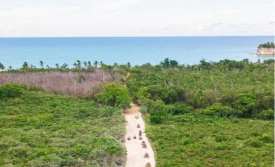 Punta Cana: Eco-Amazing Tour Buggy Extreme With Hotel Pickup