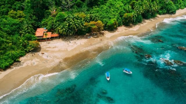 Uvita: Snorkeling at Caño Island - Unforgettable Experience