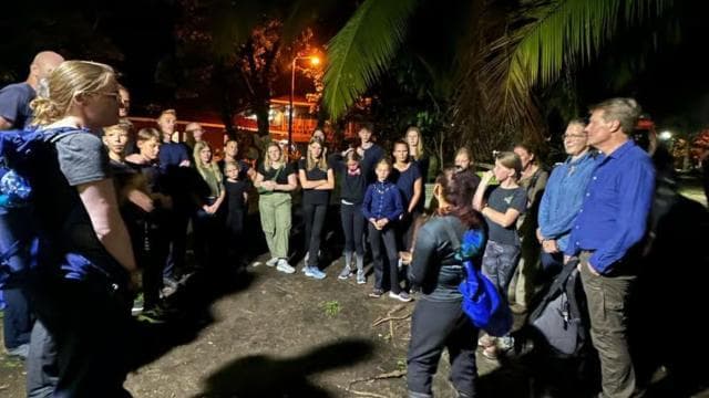 Tortuguero: Turtle Nesting Tour on Tortuguero Beach