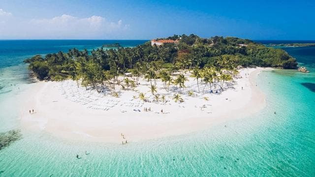 Whale Watching from Miches Hotels: Cayo Levantado & El Limón Waterfall