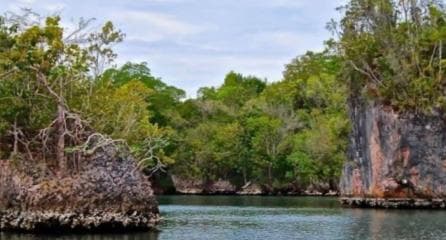 Private: Los Haitises National Park 2-Day Tour with Meals