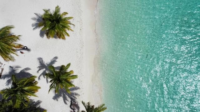 Saona Island Day for Marella Discovery (La Romana Port)