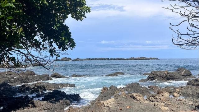 Uvita: Hiking in Corcovado National Park
