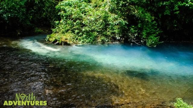 La Fortuna: Rio Celeste Waterfall and National Park Tour