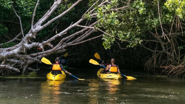 San Juan: Bioluminescent Laguna Grande Bay Night Kayaking