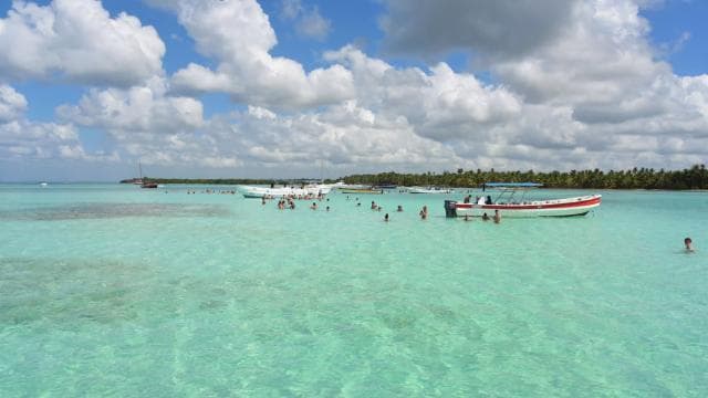 From Bayahibe: Saona Island, Open Bar, Speedboat & Lunch