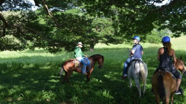 La Cruz, Guanacaste: True Horseback Ride Tropical Forest
