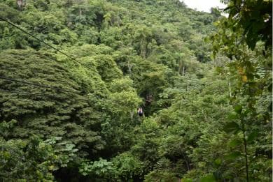 Puerto Plata/Amber Cove: Zipline and Waterfalls with Lunch
