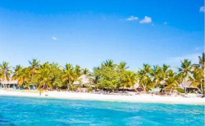 Discover Punta Cana: Full-Day Saona Island All Included