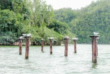 Punta Cana to Los Haitises, Caño Hondo & Montaña Redonda Day Trip – Adults $125, Kids $95