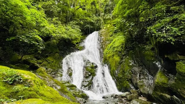 Amazing 11 Waterfalls Zipline Tour / Jaco / Transport Incl