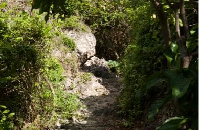 Samana Bay: Cayo Levantado Snorkeling and Kayaking Tour