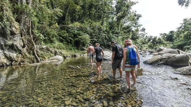 From San Juan: El Yunque Forest Off the Beaten Path Tour