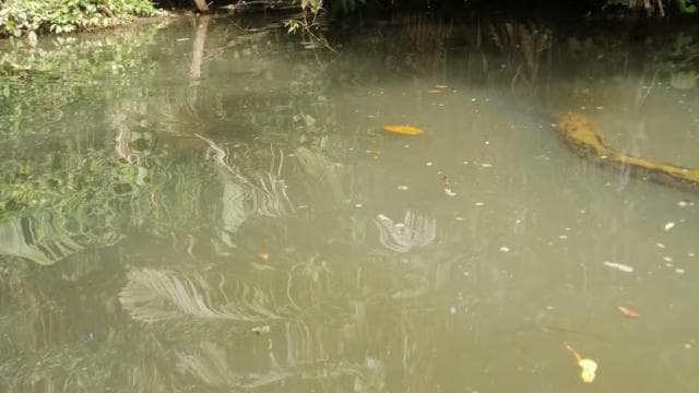 Tour of Canals