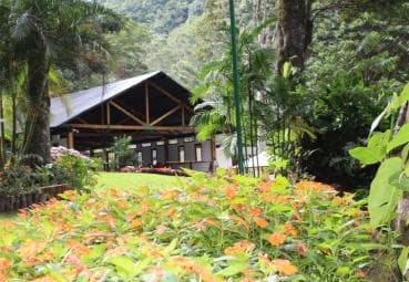 Private: Jungle Buggy Zipline Combo Adventure at La Hacienda