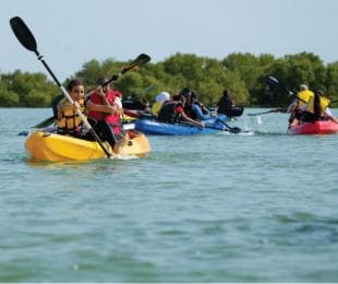 Boca Chica : Los Haitises Guided Hike and Kayaking