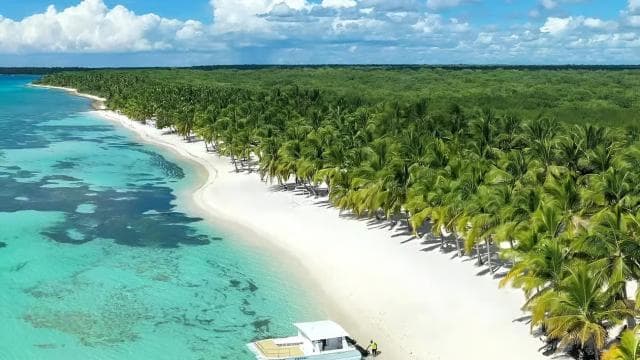 Saona Island Day Trip + Lunch + Open Bar from Punta Cana