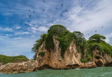 Santo Domingo: Visit Samana, Los Haitises Park, and Cayo Levantado Island