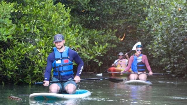 Nosara: Rio Montana Mangrove SUP or Kayak Tour