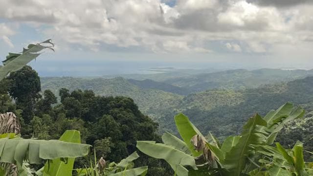 El Yunque Tour Rain Forest and Water Slide Puerto Rico