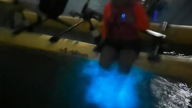 La Parguera: Bioluminescent Bay Chiliboats Waterbike Tour