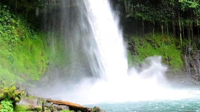 La Fortuna: Horseback Ride to La Fortuna Waterfall