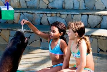 Puerto Plata Ocean World Tickets