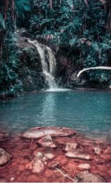 Exclusive Puerto Plata Waterfalls small groups Plus Driver