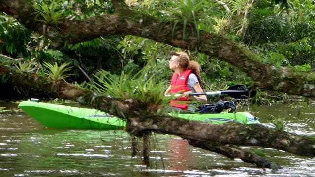 Tortuguero: Three Days & Two Nights All Included Tortuguero