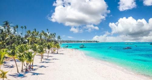 Private: Saona Island Full-Day Escape with Meals & Beverages