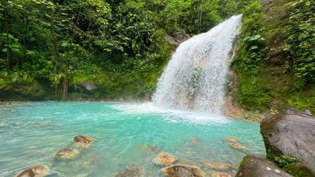 Quepos: White-Water Rafting on the Scenic Savegre River